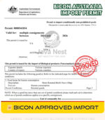 Premium Broken Bird’s Nest 100g - Image 6